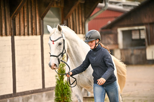  | Verfassung Ströhen _120 