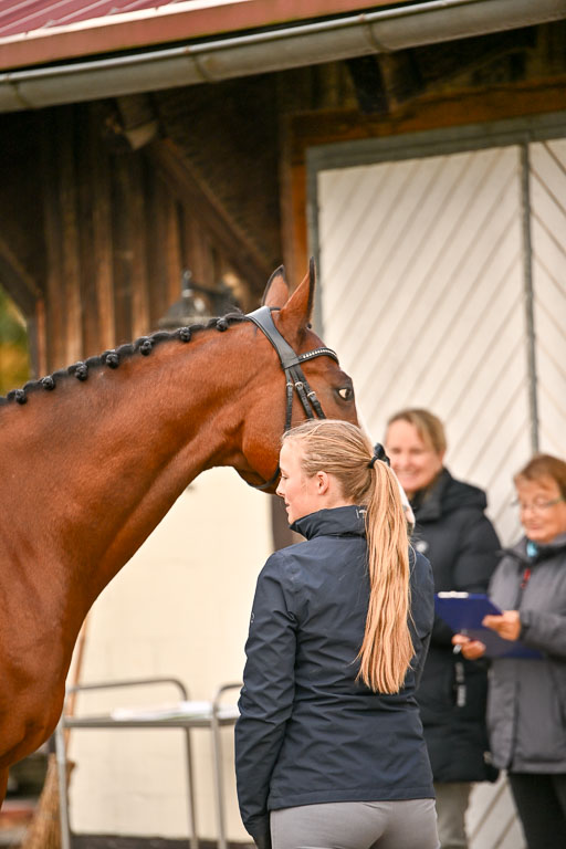  | Verfassung Ströhen _122 