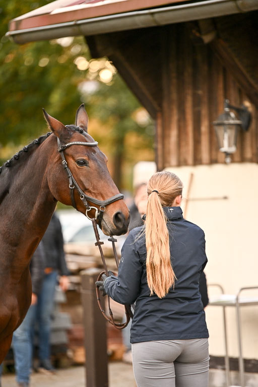  | Verfassung Ströhen _123 