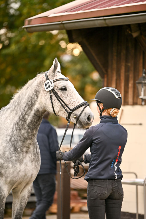  | Verfassung Ströhen _125 