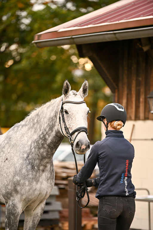  | Verfassung Ströhen _126 