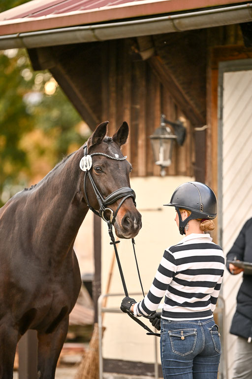  | Verfassung Ströhen _129 