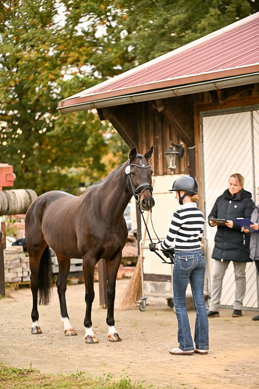  | Verfassung Ströhen _130 