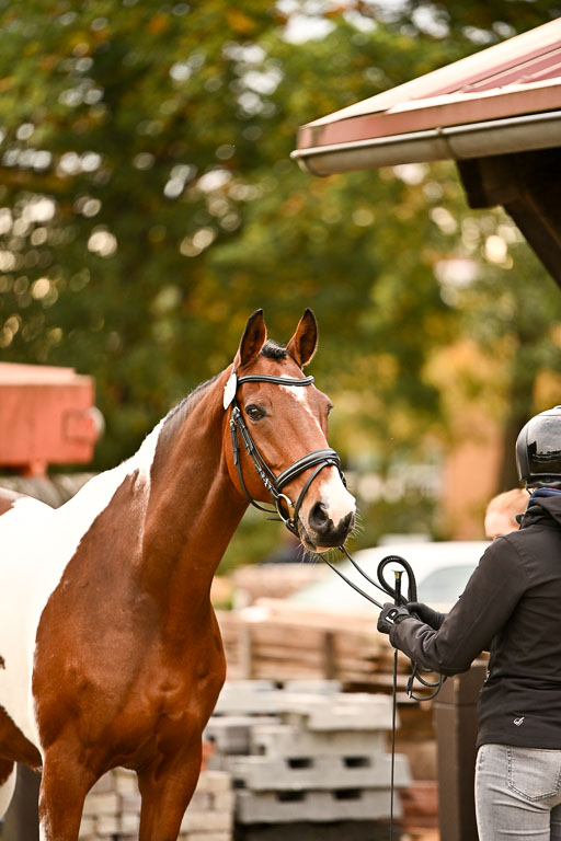  | Verfassung Ströhen _132 