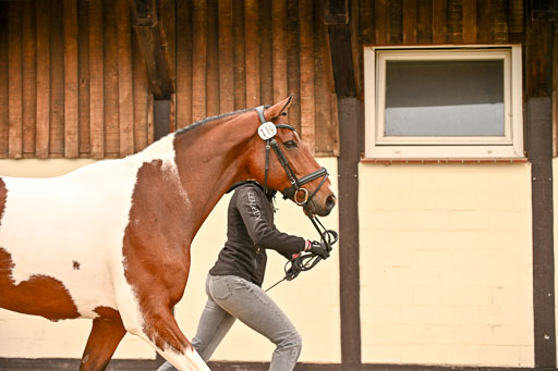  | Verfassung Ströhen _133 