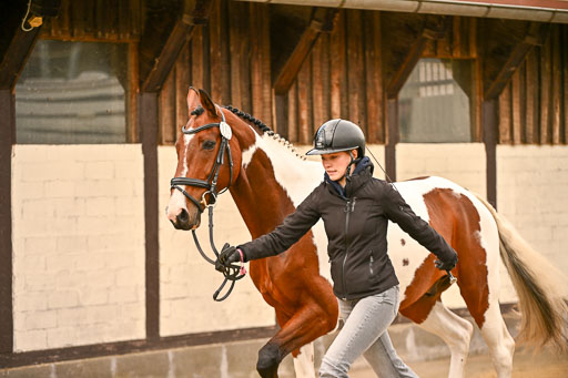  | Verfassung Ströhen _134 