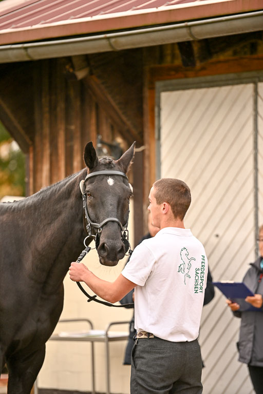  | Verfassung Ströhen _136 