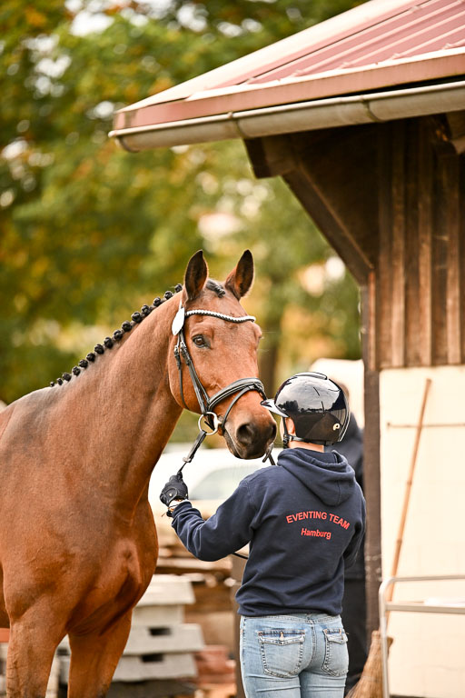  | Verfassung Ströhen _137 