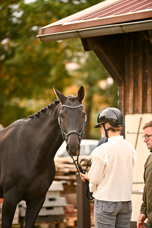  | Verfassung Ströhen _140 