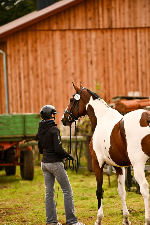  | Verfassung Ströhen _145 