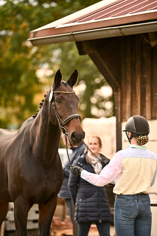  | Verfassung Ströhen _146 