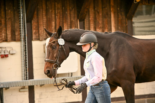  | Verfassung Ströhen _149 