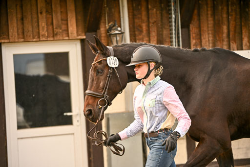  | Verfassung Ströhen _150 