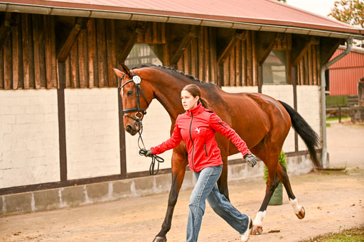  | Verfassung Ströhen _153 