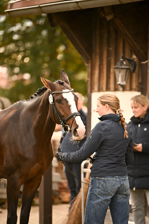  | Verfassung Ströhen _155 