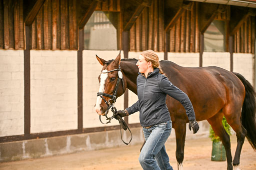  | Verfassung Ströhen _156 