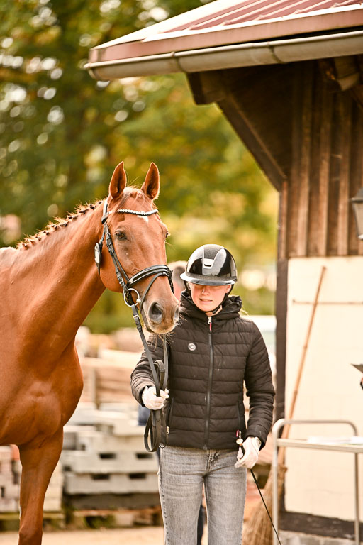  | Verfassung Ströhen _159 