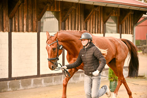  | Verfassung Ströhen _160 