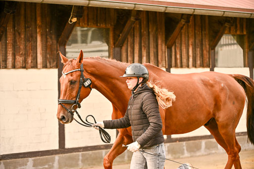  | Verfassung Ströhen _161 