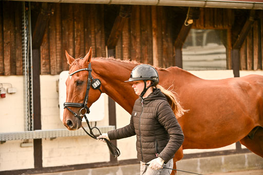  | Verfassung Ströhen _162 