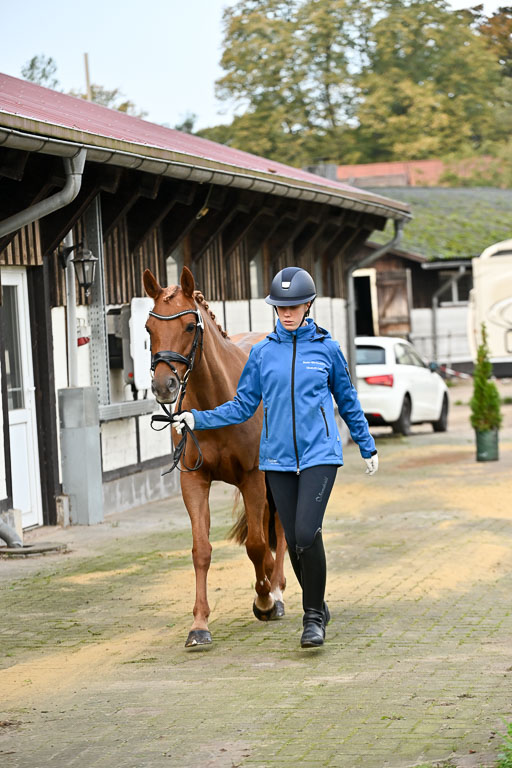  | Verfassung Ströhen 