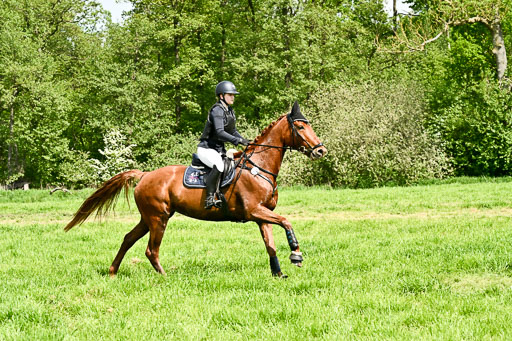 | 23052026 Geländereiter WB_003 