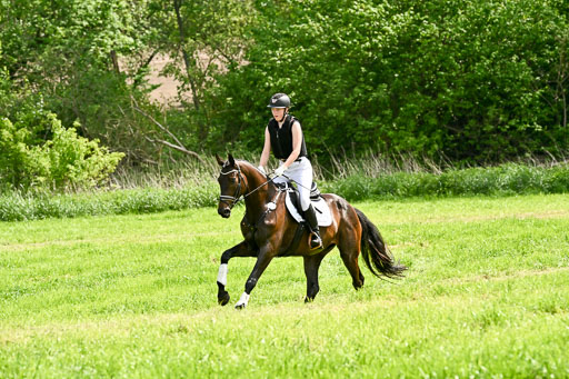  | 23052026 Geländereiter WB_023 