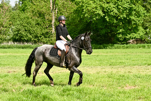  | 23052026 Geländereiter WB_029 