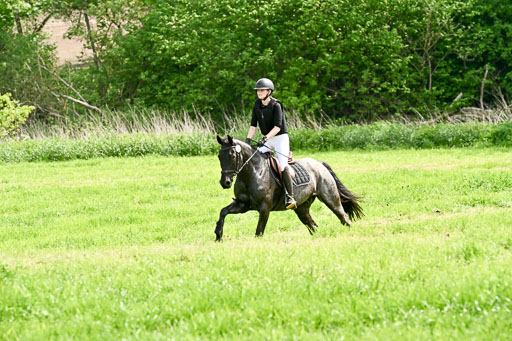  | 23052026 Geländereiter WB_036 