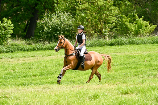  | 23052026 Geländereiter WB_045 