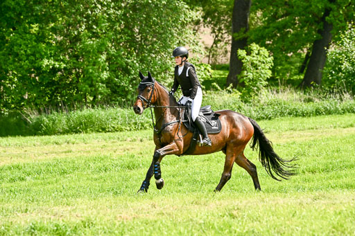  | 23052026 Geländereiter WB_055 