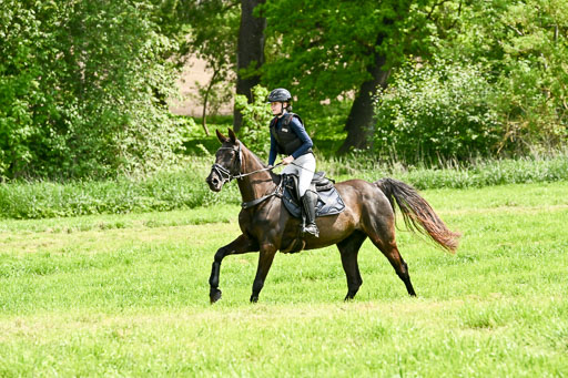  | 23052026 Geländereiter WB_073 
