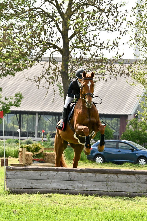  | 23052026 Geländereiter WB_078 