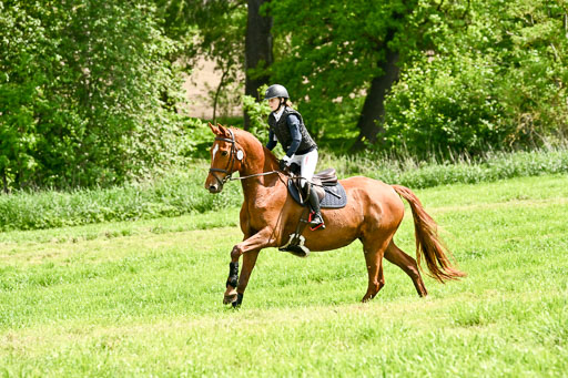  | 23052026 Geländereiter WB_082 