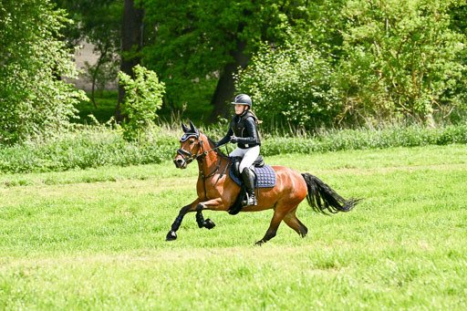  | 23052026 Geländereiter WB_094 