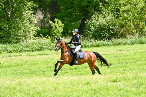  | 23052026 Geländereiter WB_095 