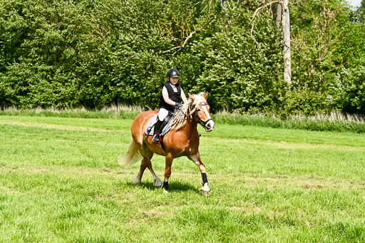  | 23052026 Geländereiter WB_099 