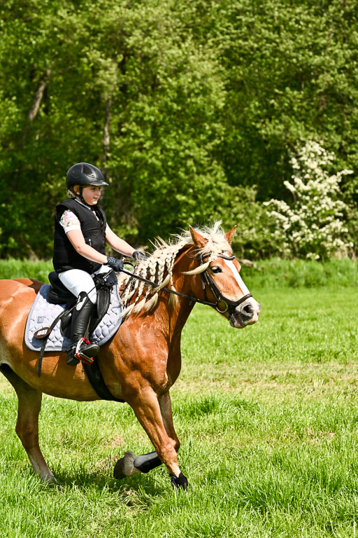 | 23052026 Geländereiter WB_100 