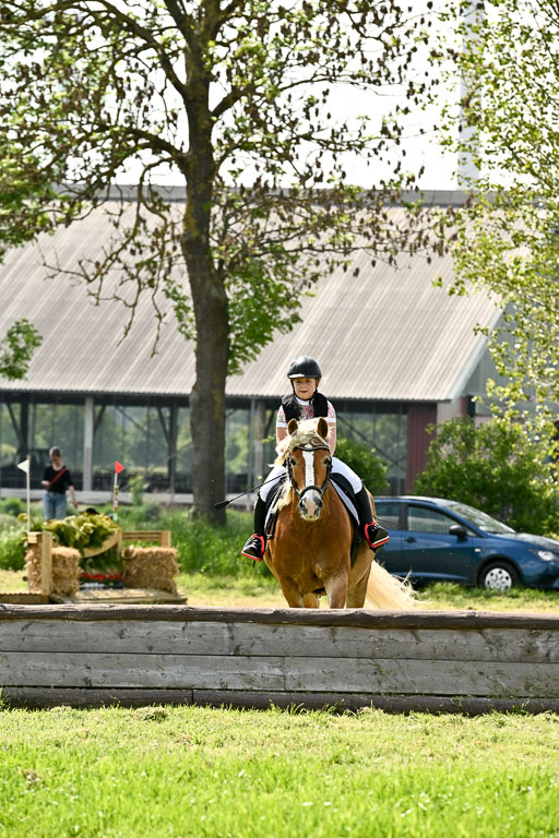  | 23052026 Geländereiter WB_101 