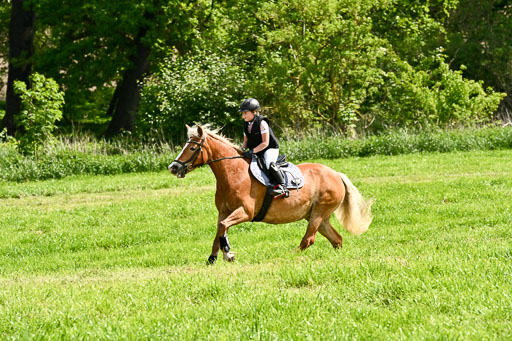  | 23052026 Geländereiter WB_105 