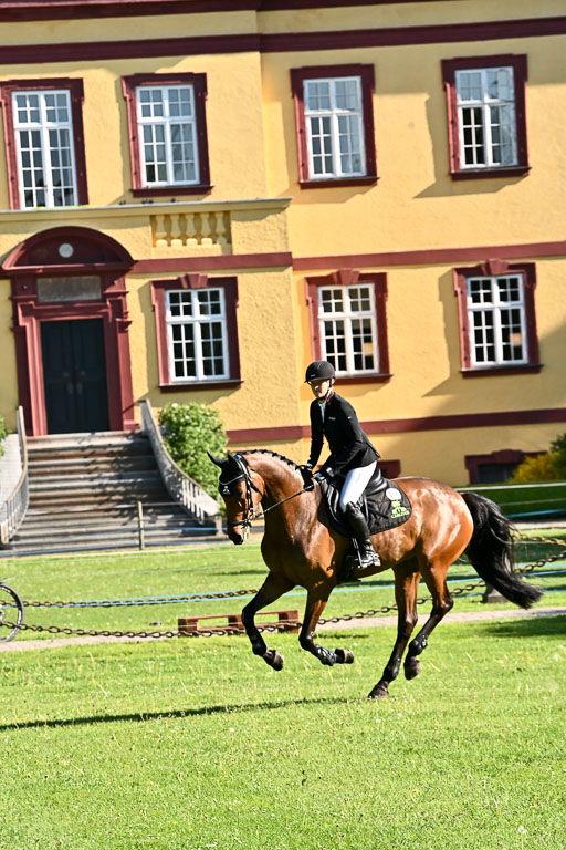  | 23052026 Springen VA _069 
