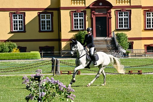  | 23052026 Springen VA _119 