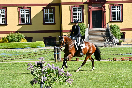  | 23052026 Springen VA _127 