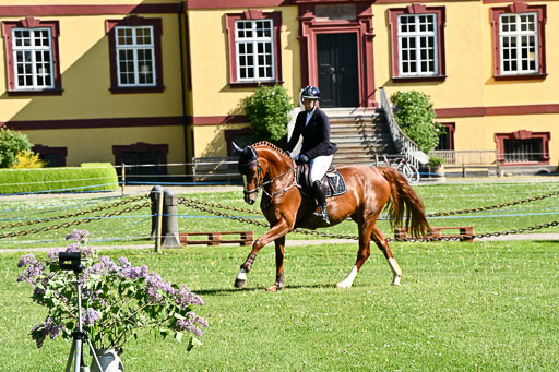  | 23052026 Springen VA _155 