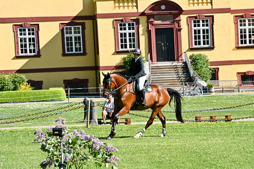  | 23052026 Springen VA _171 
