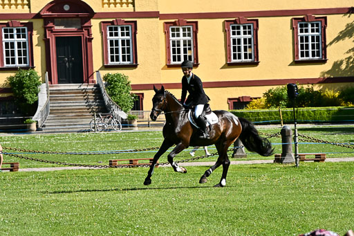  | 23052026 Springen VA _179 