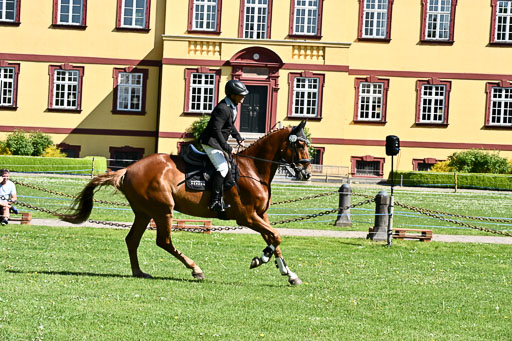  | 23052026 Springen VA _260 