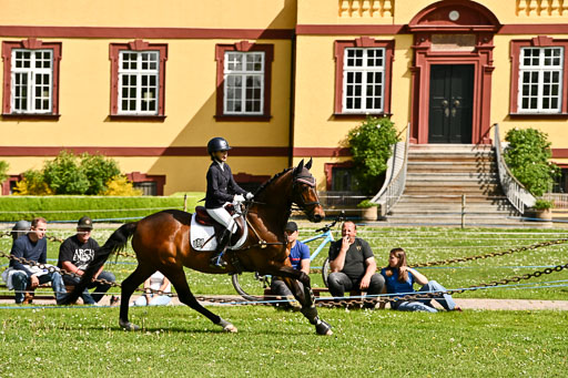  | 24052026 Springen VE_027 