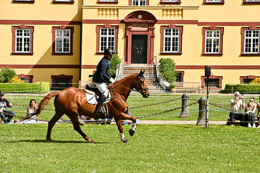  | 24052026 Springen VE_034 