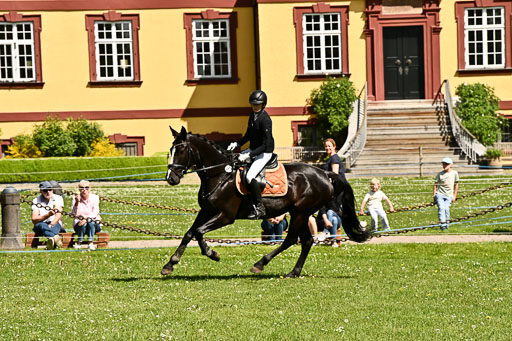  | 24052026 Springen VE_098 